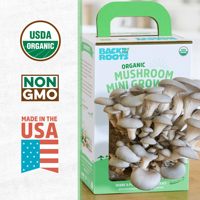 Kit de boîte de culture de champignons Design campagnard pour champignons cultivés à la maison pour le jardin, la cuisine et le bureau.