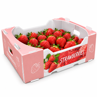 PP Gegolfde kunststof fruit- en groentekisten op maat en met opdruk, inclusief handgrepen voor verpakking en distributie