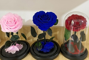 <span class=keywords><strong>Rosa</strong></span> <span class=keywords><strong>Eterna</strong></span> Preservada en Cúpula <span class=keywords><strong>de</strong></span> Cristal, <span class=keywords><strong>La</strong></span> <span class=keywords><strong>Bella</strong></span> <span class=keywords><strong>y</strong></span> <span class=keywords><strong>la</strong></span> <span class=keywords><strong>Bestia</strong></span>, Regalo para el Día <span class=keywords><strong>de</strong></span> <span class=keywords><strong>la</strong></span> Madre - Product Image 2