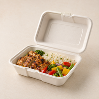 Boîte à clapet en bagasse de canne à sucre de 600 ml, compostable, jetable, pour la restauration rapide à emporter (vente en gros)