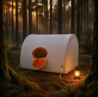 Tente gonflable robuste DWF, imperméable et résistante au vent, abri de camping, taille personnalisée pour location de camping commercial, vente en gros
