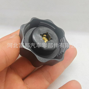 Land Rover Water <b>Bottle</b> Cap PCD100160 Screw-On Plastic Replacement Part For Defender BMW <b>Mini</b> - Product Image 1