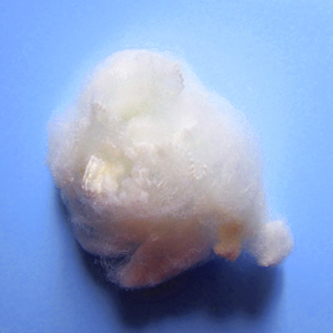 Nhà Máy Bán Hàng Trực Tiếp 100% <span class=keywords><strong>Polyester</strong></span> Rắn Nguyên 15D 64Mm <span class=keywords><strong>Polyester</strong></span> Staple Sợi Cho Làm Đầy Ngành Công Nghiệp - Product Image 2