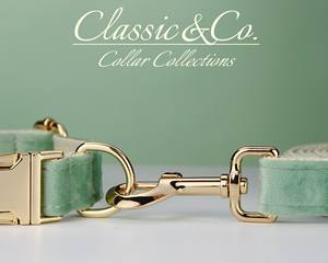 Sagegreen Veet personnaliser collier de chien laisse ensemble fleur arc pour petit moyen grand animal de compagnie, plaque de nom silencieuse gravée, chiot de mariage - Product Image 6