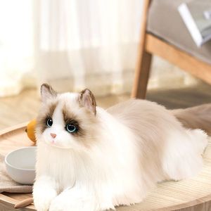 Charliebear İngiliz <span class=keywords><strong>Charlie</strong></span> ayı için prenses Sudoku peluş oyuncak PP pamuk işlemeli tasarım stres giderici için sevimli hediye - Product Image 4