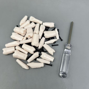 28 partículas dentales dispersas de resina en juego completo de resina blanca para productos de ciencia dental de hospitales y universidades médicas - Product Image 5