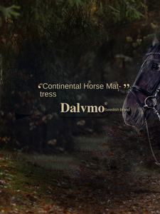 Materasso Dalvmo <span class=keywords><strong>Continental</strong></span> Horse Brand 380mm Spesso di Alta Gamma con Molle Insacchettate Indipendenti, Realizzato a Mano con Crine di Cavallo, Sette Stelle, per Arredamento Casa - Product Image 3