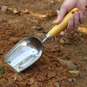 Pala de Jardín de Acero Inoxidable, Herramienta para Plantar, Cavar Tierra y Trasplantar - Product Image 1