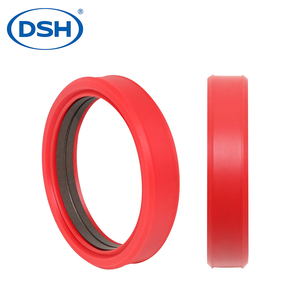 Andem que con dấu ddmi cao Temp kháng PTFE dầu bằng chứng cho các hệ thống thủy lực niêm phong rò rỉ bằng chứng bền đáng tin cậy mạnh mẽ - Product Image 5