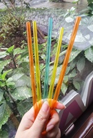 Pailles à boire en plastique rigide semi-transparentes réutilisables écologiques, pailles pour gobelets, accessoires de bar
