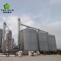 Düz Tabanlı Tahıl Depolama Çelik Silosu Büyük Tahıl Çiftlikleri ve İşleme Tesisleri için Tarım Ekipmanı 2000-20000 Ton