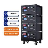 Batterie de cabinet Lifepo4 51.2V 48V 5Kwh 10Kwh 15Kwh 16Kwh 18Kwh, stockage d'énergie haute efficacité