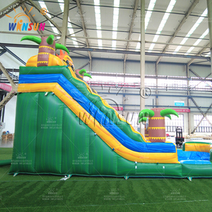 Winsun - Toboggan aquatique gonflable commercial en PVC, ignifuge, étanche et sans plomb, idéal pour les fêtes en plein air et les aires de jeux pour enfants - Vente chaude - Product Image 5
