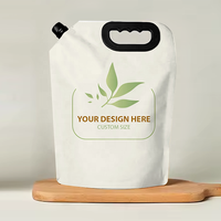 Sachets à bec personnalisés 5 litres de solution de lavage 1L 3L 5 L emballage debout en aluminium avec poignée pour sacs de poche à bec liquide pour détergent