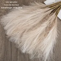 Offre Spéciale : Fleurs Décoratives Artificielles de Pampas Séchées en Soie Réalistes pour Mariage, Fête des Mères, Noël, Maison et Hôtel