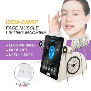 Draagbare Elektrische Massage Gezichtsspier Lifting Machine Spierstimulatie Anti-Aging Rf Ems Gezichtshuid Lifting Machine