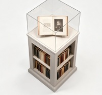 Vitrine de présentation de bijoux de qualité muséale sur mesure avec étagères de rangement, éclairage LED et conception durable pour la vente au détail et la présentation d'objets historiques