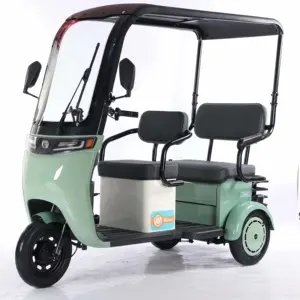 新设计的廉价电动三轮车价格电动自行车800瓦电机60V 10英寸电机印度205