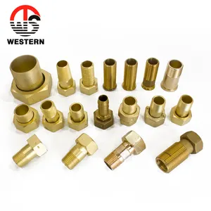 Customized Size Pipe Part FxM Thread High Pressure Brass Forging Hexagon Coupling Water Meter Fitting