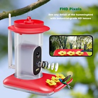 Caméra solaire Netvue AI mangeoire à oiseaux App Control Smart AI Recognition Automatic Wireless Bird Feeder Vente en gros