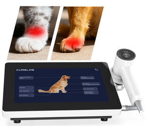 <span class=keywords><strong>CW</strong></span>/Pulsierend/ISP Klasse 4 Lasertherapiegerät 30W Veterinär-Lasertherapiegerät - Product Image 1