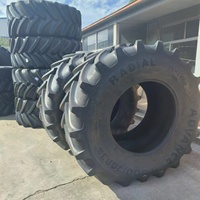 Pneu de tracteur tout acier à vide 650/75R32 800/70R38 900/70R38 Mizuda High Flower 900/60r42
