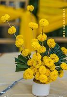 Décoration suspendue pour arche de mariage, rangée de fleurs artificielles en soie WD-3, style traditionnel indien du Rajasthan, pour un lifestyle vibrant