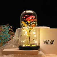 Rose en or 24 carats de haute qualité, fleur romantique en plastique dans un dôme en verre avec lumière LED, boîte cadeau pour la Saint-Valentin, la fête des mères