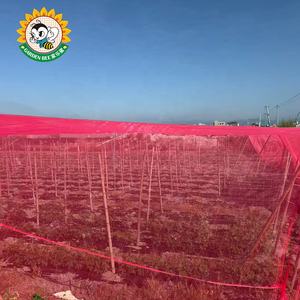 Filet anti-insectes respirant pour serre, pour l'agriculture biologique, la conversion de l'énergie solaire et l'ombrage des jardins - Product Image 3