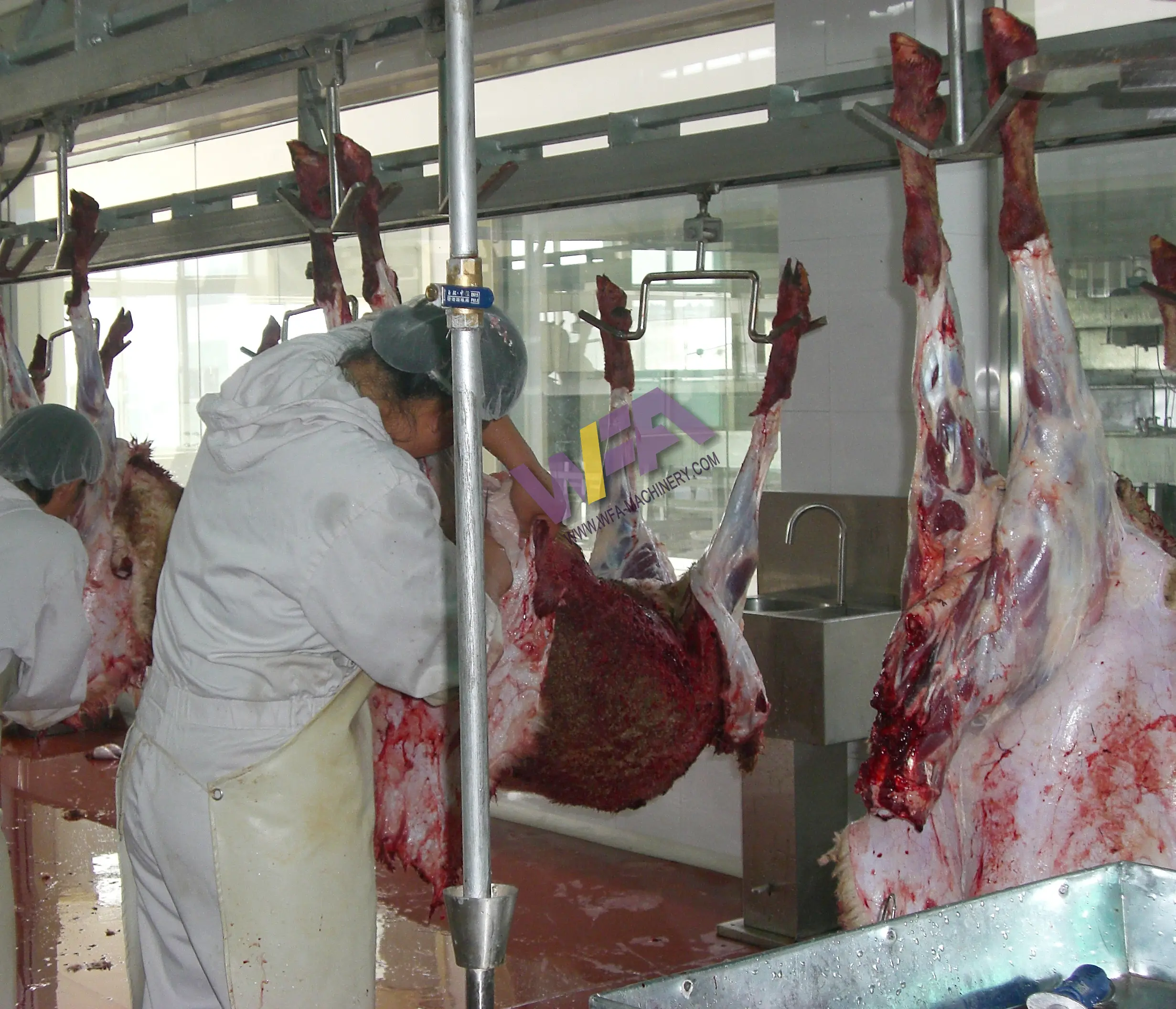 Prix d'usine Ligne complète d'abattage de chèvres Équipement d'abattoir Traitement en profondeur de la viande pour abattoir de moutons Machine d'abattage