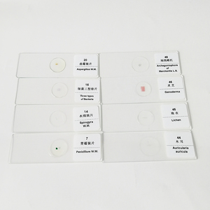 Ensemble <span class=keywords><strong>de</strong></span> 50 Lames Microscopiques Mixtes en Plastique et Verre pour l'Enseignement et la Recherche Scolaire, Lames Préparées - Product Image 4