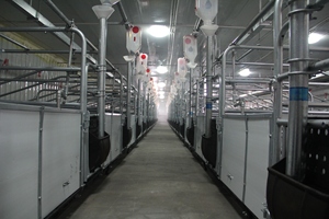 <span class=keywords><strong>Recinto</strong></span> in PVC Popolare <span class=keywords><strong>per</strong></span> Suini, Box <span class=keywords><strong>per</strong></span> Parto e Allattamento - Product Image 6