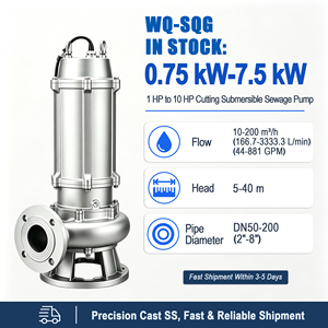 Pompe submersible à eaux usées en acier inoxydable WQ(D)-SQG à livraison rapide, stock suffisant, exportation sécurisée, emballage antichoc - Product Image 4
