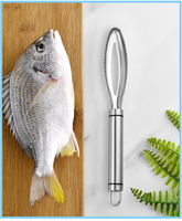 Écailleur à poisson en acier inoxydable