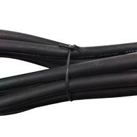 Câble d'alimentation Schuko (CEE 7/7) 16A 250V, câble gainé de caoutchouc H07RN-F 3G 1,5 mm², 3 conducteurs à extrémités dénudées, indice de protection IP44