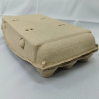 Lot de 10 boîtes à œufs en pulpe moulée biodégradable personnalisées avec étiquette imprimée, couvercle à fermeture à pression, emballage alimentaire compostable