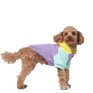 Autumn/Winter Pet <b>Cat</b> Hooded Sweatshirts, Parent-Child Outfits, Dog <b>Clothes</b>, Mother and Child Teddy Bear Plus Sizes - Product Image 3
