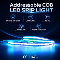 Светодиодная лента RGBWIC IC COB, нарезаемая, USB, 24В, 22Вт/м, на медной плате, белая печатная плата, для внутреннего освещения спален, баров, складов, с управлением через приложение, настраиваемая