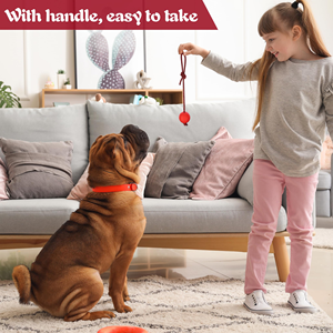 Jouet interactif pour chien, balle pour l'entraînement, jouet à mâcher pour nettoyer les dents, jouet en caoutchouc résistant aux morsures avec corde en nylon - Product Image 4