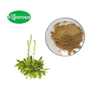 100% Natural 12:1 Agrimory Agrimonia pilosa Extract Powder