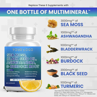 Compléments alimentaires à marque privée OEM, chondroïtine, MSM, glucosamine, antioxydant, soutien de la santé du cerveau, 60 capsules, complément à base de plantes