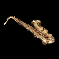 WIDEN Professional Performance Brass Gold Lacquer Tone School Beginner Tenor Saxophone Wind Instrument