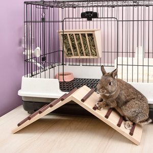 Large Size Eco-Friendly Wooden Cage Bridge <strong>Springboard</strong> Ladder for Rabbits Guinea Pigs &amp; Chinchillas-Christmas &amp; Graduation Gift - Product Image 4