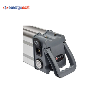 Silver Fish Wiederauf ladbarer 36V/48V 10Ah/12Ah/15Ah/20Ah/36Ah Li-Ionen-Akku für E-Bike/Scooter kann angepasst werden - Product Image 3