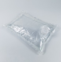 Sac à bavette transparent en aluminium dans une boîte à vin 3L 5L 10L 20L avec robinet pochette liquide durable gallon sac à boisson pour boissons jus huile