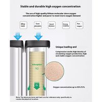 Système de générateur de concentrateur d'oxygène PSA haute pureté 15L 20L, machine à oxygène industrielle