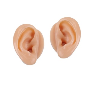 Modèles d'oreilles très demandés pour la présentation d'écouteurs avec clous, destinés à la pratique des piercings médicaux - Product Image 1