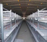 Cages à poules à batterie automatiques pour poulets