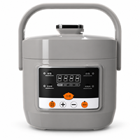 Cuisinière à pression électrique portable 24V 2,5L, avec minuterie numérique et fonction maintien au chaud, pour voiture, camion, extérieur, camping