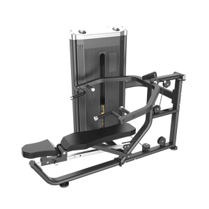Équipement d'entraînement physique DFT, équipement de gymnastique Commercial à double pression - Product Image 2